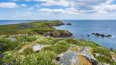 A picture of the Irish coast
