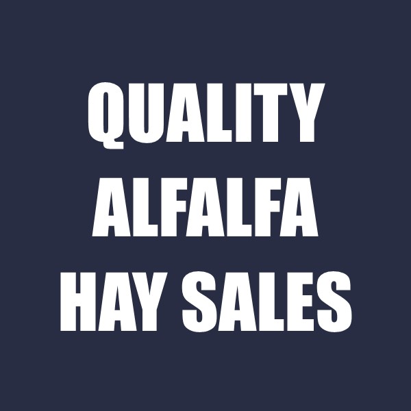 Quality Alfalfa Hay Sales