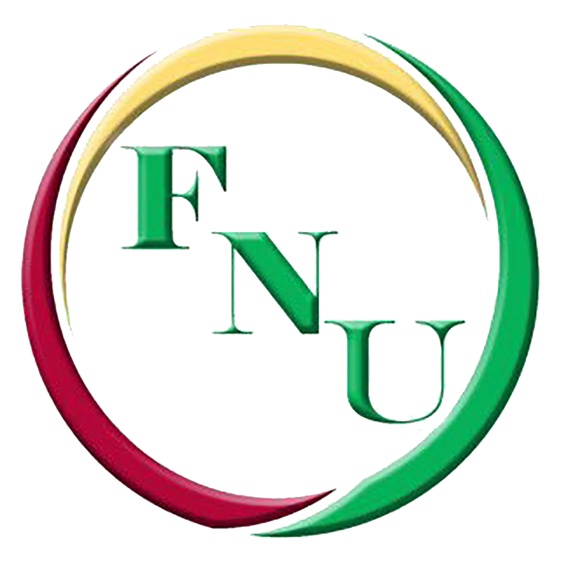 Logo of Florida National University