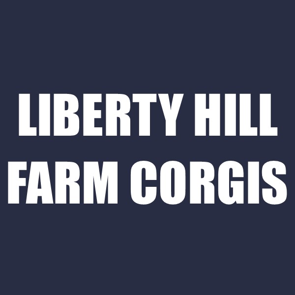 Liberty Hill Farm Corgis