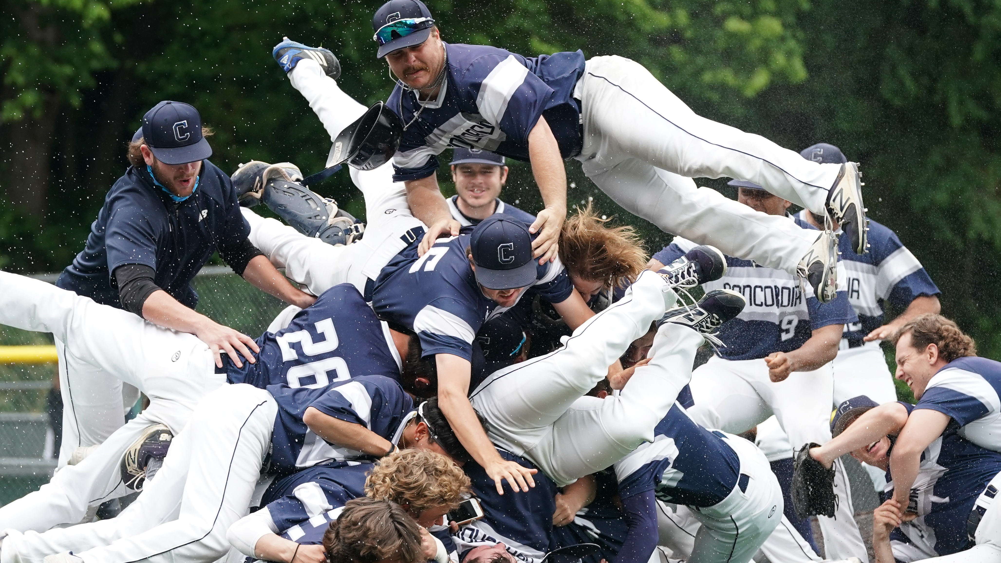 2017 Avista-NAIA Baseball World Series Bracket Announced - Cascade