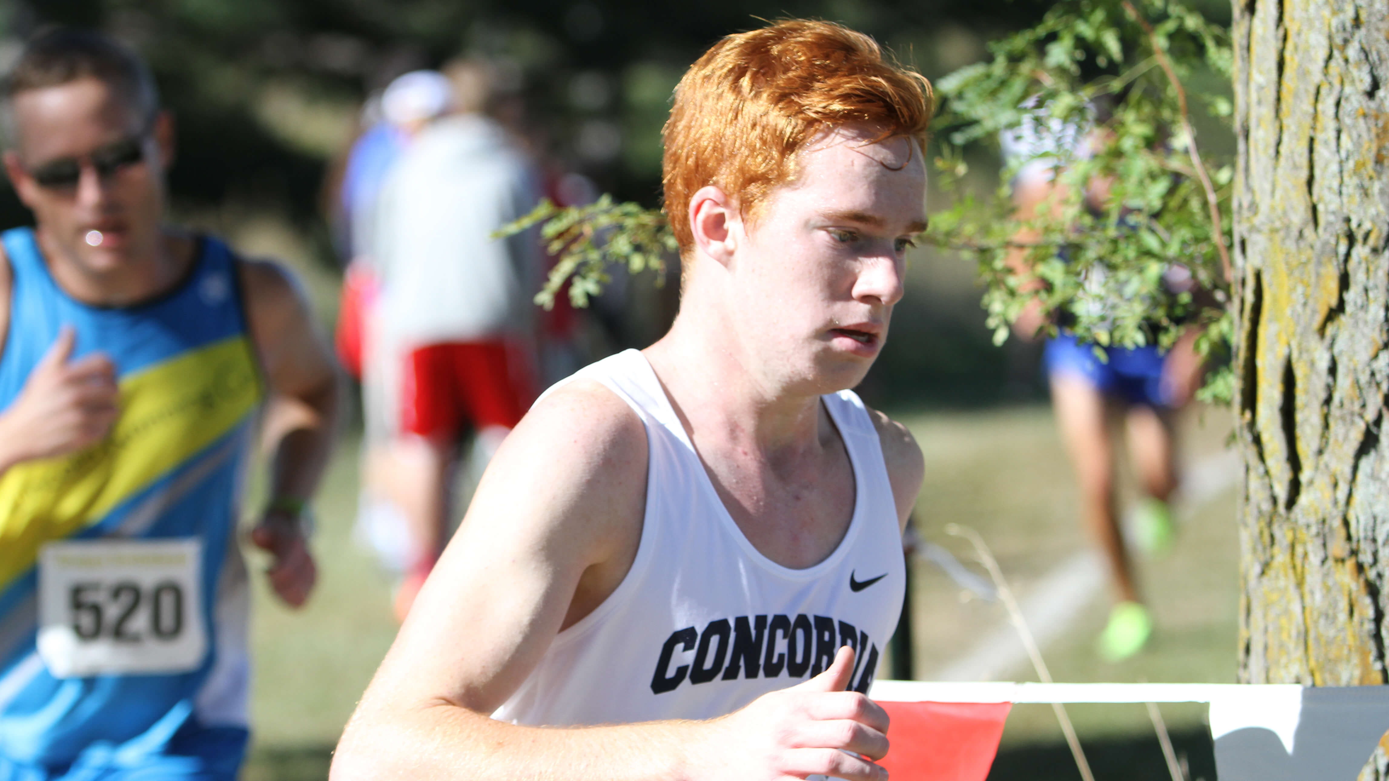 Preview Cross Country Readies For Gpac Championships Cross Country Concordia University