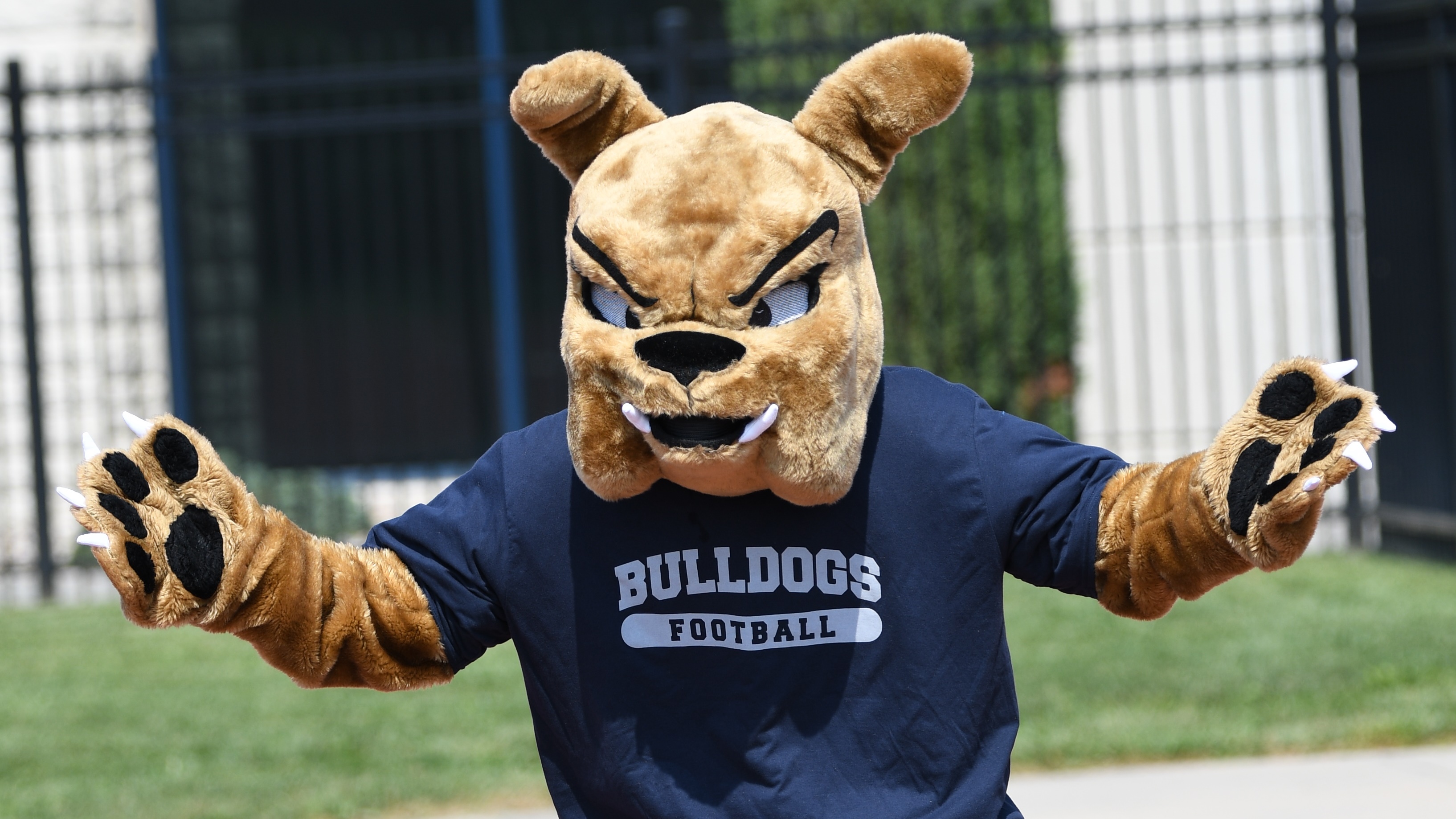 Titdirectory - Bulldog Weekly Report (Sept. 21) :: Athletic Announcements :: Concordia  University, Nebraska