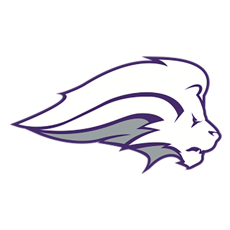 Logo of Nelson University